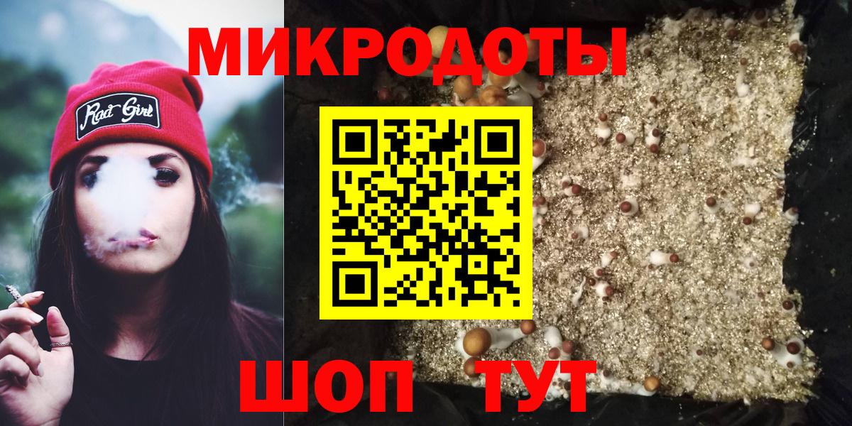 Псилоцибиновые грибы Psilocybe Кудрово
